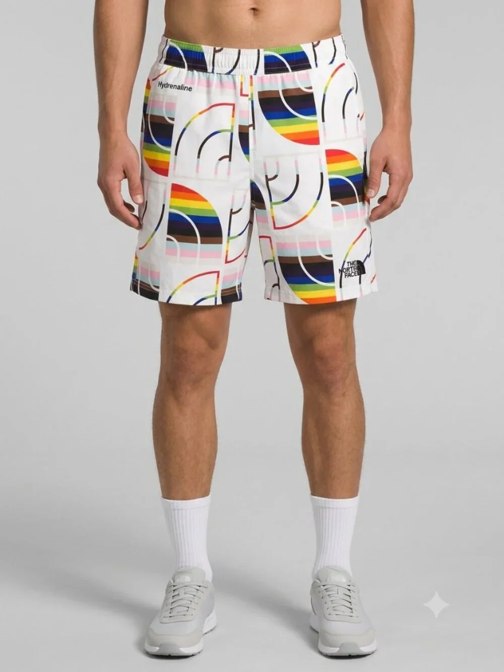 The North Face Hydrenaline Water Repellent Shorts Hybrid Rainbow Pride Medium